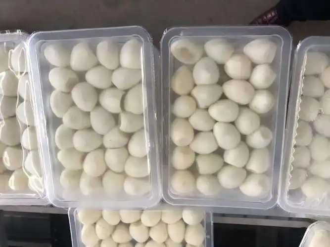 整線解決方案，優(yōu)化生產流程：鵪鶉蛋包裝神器來襲